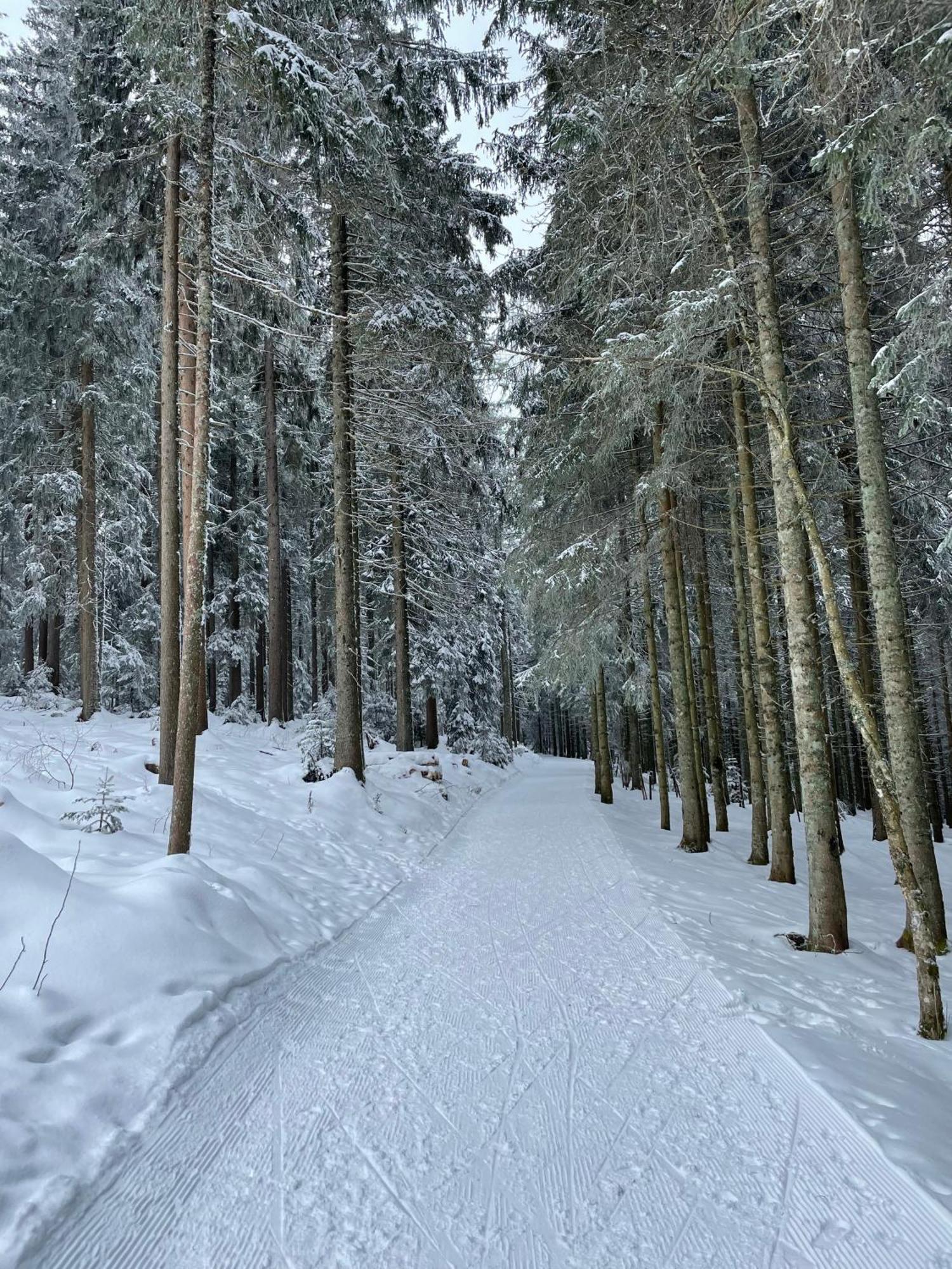 2-Zimmer Ferienwohnung "Am Waldrand" Schönwald Bagian luar foto